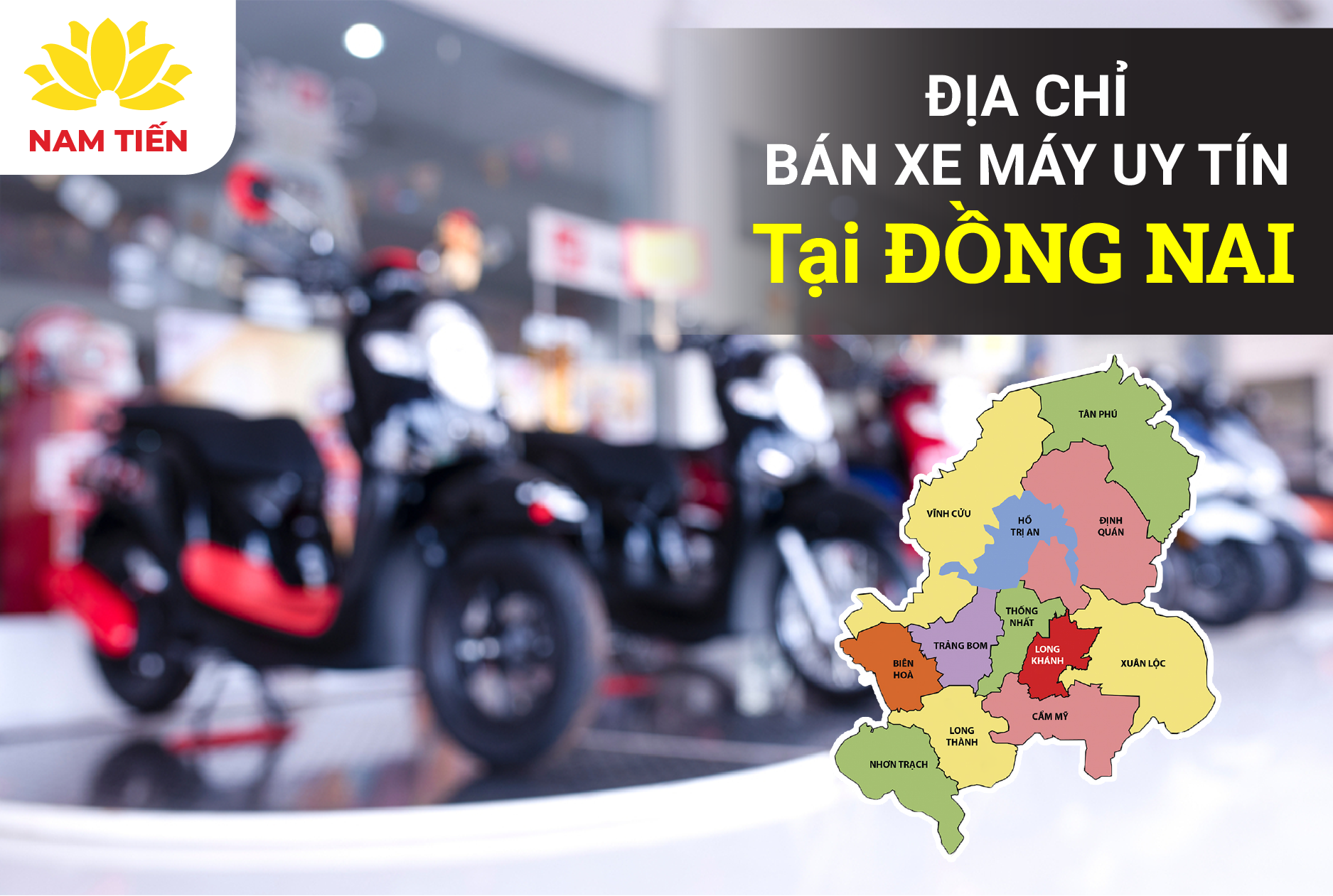 1697077228_ip3ydxowarbytvlw_1697079527-phppncmy5-1 dia-chi-ban-xe-tra-gop-uy-tin-tai-dong-nai