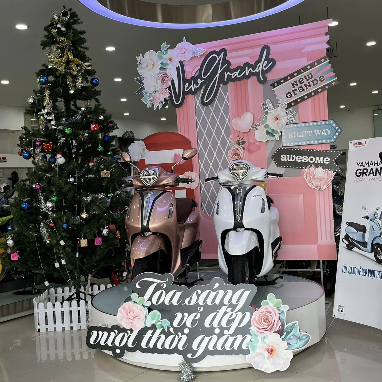 1699519204_qj6yws0ukc5ec8ki_1699527081-phpt9venz mua-xe-tra-gop-0%-lai-suat