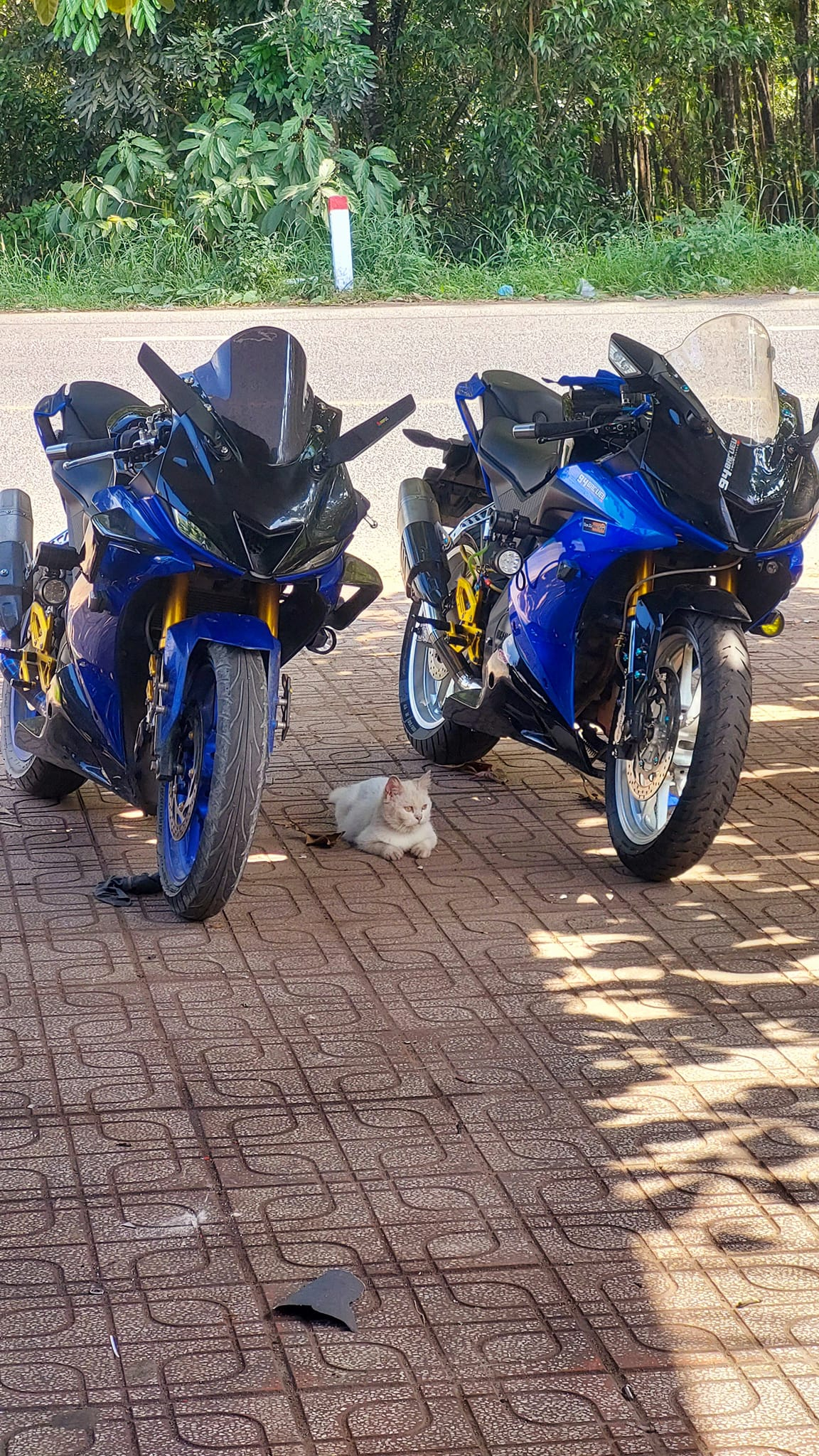 1703213253_edl6xh8crtsft3gi_1703215821-phphxcroi review-chi-tiet-xe-r15-xanh