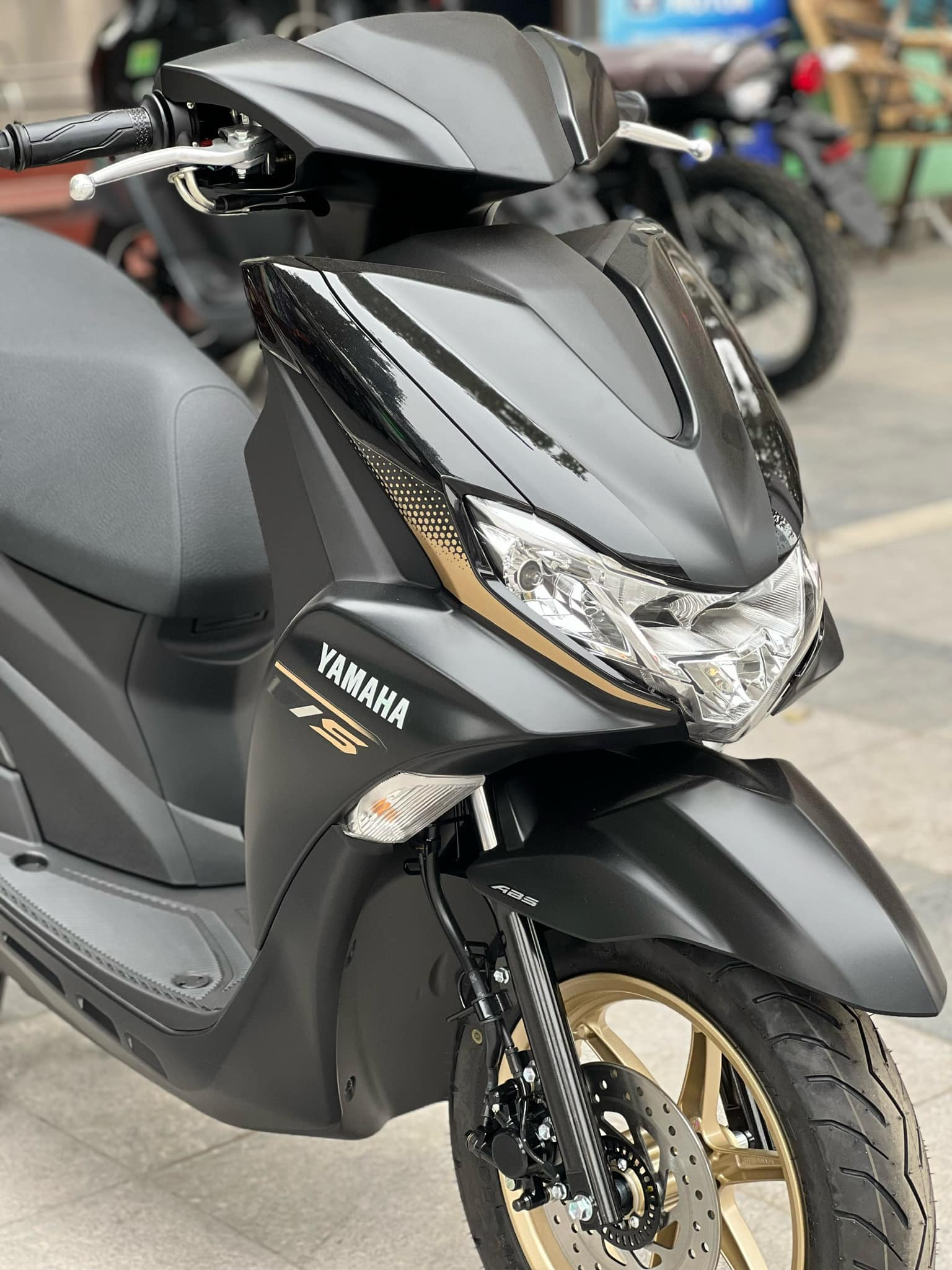 1705569273_evt7jgpq5iys043o_1705573459-php4vyeax mua-xe-freego-2024-tra-gop