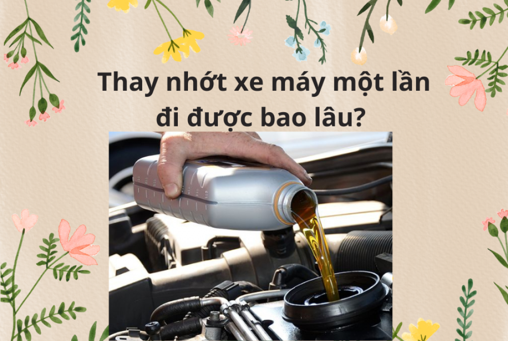 1709712668_hyte6hfxibavvs2w_1709719529-phpqpnyfb news-image