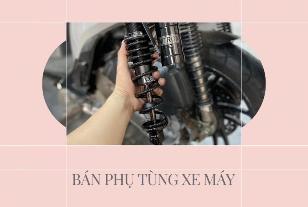 1710557597_quxypr6kgvloafoc_1710565622-php8mfba6 news-image